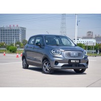 LEAP MOTOR LP-T03